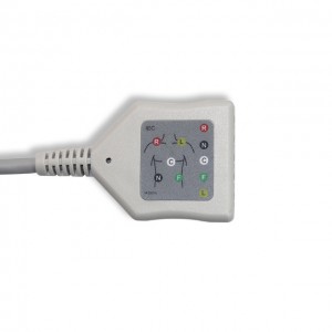 Creative ECG Trunk Cable, IEC G5227DN